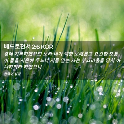 Picture 02 - 베드로전서 2:6 KOR - 경에 기록하였으되 보라 내가 택한 - Bible Verse Picture