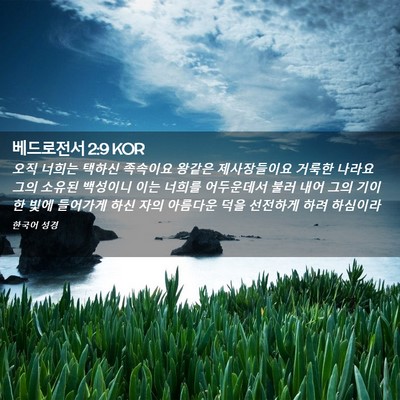 Picture 02 - 베드로전서 2:9 KOR - 오직 너희는 택하신 족속이요 왕같은 - Bible Verse Picture
