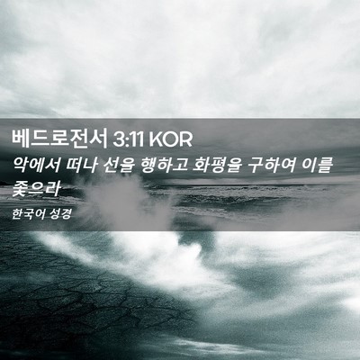Picture 02 - 베드로전서 3:11 KOR - 악에서 떠나 선을 행하고 화평을 - Bible Verse Picture