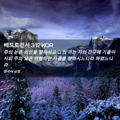 Picture 02 - 베드로전서 3:12 KOR - 주의 눈은 의인을 향하시고 그의 - Bible Verse Picture