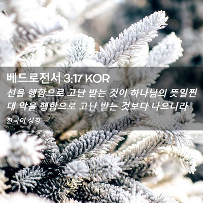 Picture 02 - 베드로전서 3:17 KOR - 선을 행함으로 고난 받는 것이 - Bible Verse Picture
