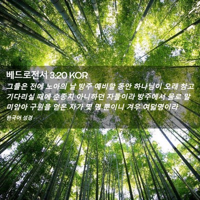 Picture 02 - 베드로전서 3:20 KOR - 그들은 전에 노아의 날 방주 예비할 - Bible Verse Picture