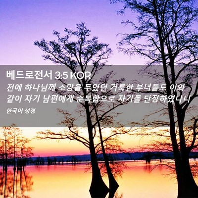 Picture 02 - 베드로전서 3:5 KOR - 전에 하나님께 소망을 두었던 거룩한 - Bible Verse Picture