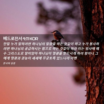 Picture 02 - 베드로전서 4:11 KOR - 만일 누가 말하려면 하나님의 말씀을 - Bible Verse Picture