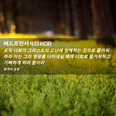 Picture 02 - 베드로전서 4:13 KOR - 오직 너희가 그리스도의 고난에 - Bible Verse Picture
