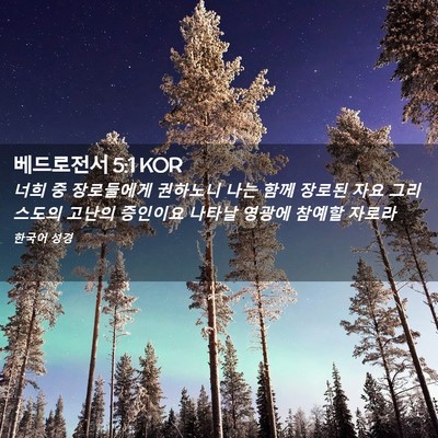 Picture 02 - 베드로전서 5:1 KOR - 너희 중 장로들에게 권하노니 나는 - Bible Verse Picture