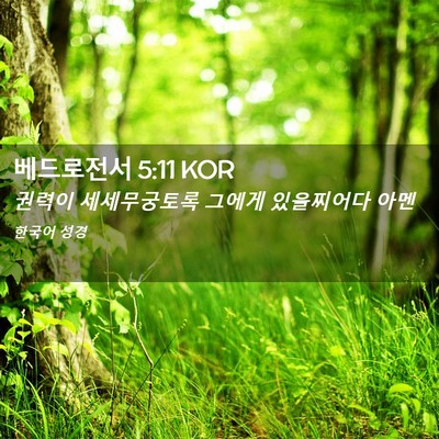 Picture 02 - 베드로전서 5:11 KOR - 권력이 세세무궁토록 그에게 - Bible Verse Picture