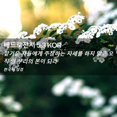 Picture 02 - 베드로전서 5:3 KOR - 맡기운 자들에게 주장하는 자세를 - Bible Verse Picture