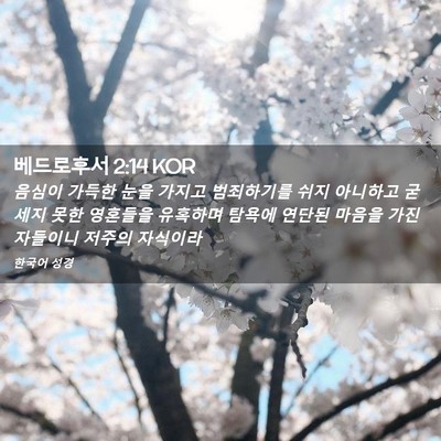 Picture 02 - 베드로후서 2:14 KOR - 음심이 가득한 눈을 가지고 - Bible Verse Picture