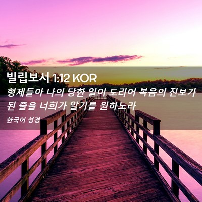 Picture 02 - 빌립보서 1:12 KOR - 형제들아 나의 당한 일이 도리어 - Bible Verse Picture