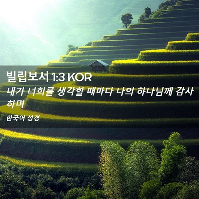 Picture 02 - 빌립보서 1:3 KOR - 내가 너희를 생각할 때마다 나의 - Bible Verse Picture