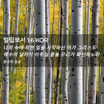 Picture 02 - 빌립보서 1:6 KOR - 너희 속에 착한 일을 시작하신 이가 - Bible Verse Picture