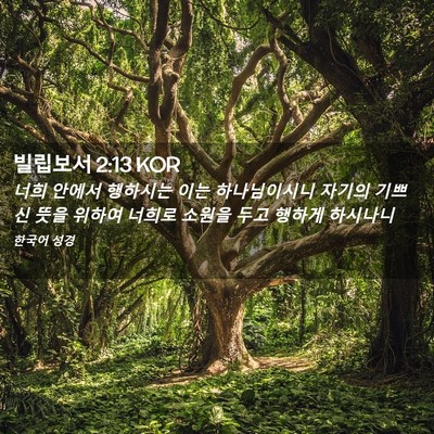 Picture 02 - 빌립보서 2:13 KOR - 너희 안에서 행하시는 이는 - Bible Verse Picture