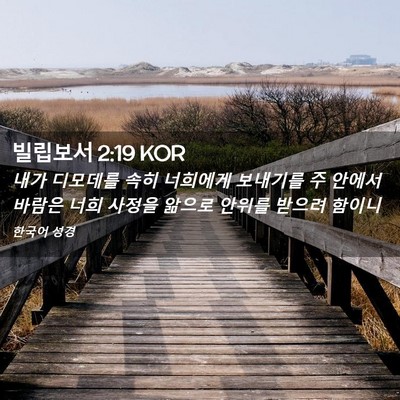 Picture 02 - 빌립보서 2:19 KOR - 내가 디모데를 속히 너희에게 - Bible Verse Picture