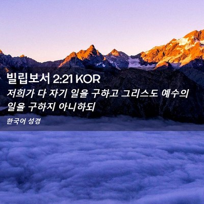 Picture 02 - 빌립보서 2:21 KOR - 저희가 다 자기 일을 구하고 - Bible Verse Picture