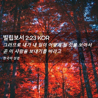 Picture 02 - 빌립보서 2:23 KOR - 그러므로 내가 내 일이 어떻게 될 - Bible Verse Picture