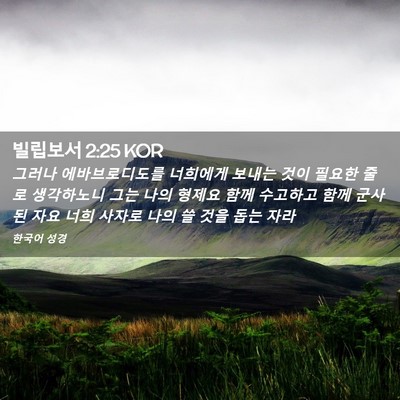 Picture 02 - 빌립보서 2:25 KOR - 그러나 에바브로디도를 너희에게 - Bible Verse Picture