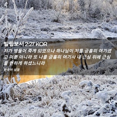 Picture 02 - 빌립보서 2:27 KOR - 저가 병들어 죽게 되었으나 하나님이 - Bible Verse Picture