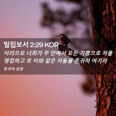 Picture 02 - 빌립보서 2:29 KOR - 이러므로 너희가 주 안에서 모든 - Bible Verse Picture