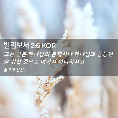 Picture 02 - 빌립보서 2:6 KOR - 그는 근본 하나님의 본체시나 - Bible Verse Picture