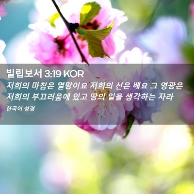 Picture 02 - 빌립보서 3:19 KOR - 저희의 마침은 멸망이요 저희의 신은 - Bible Verse Picture