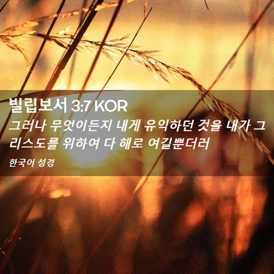 Picture 02 - 빌립보서 3:7 KOR - 그러나 무엇이든지 내게 유익하던 - Bible Verse Picture