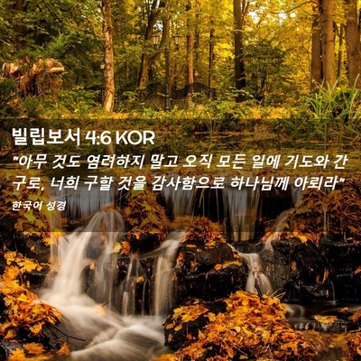 Picture 02 - 빌립보서 4:6 KOR - 