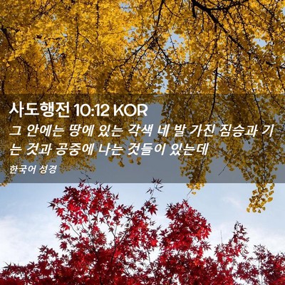 Picture 02 - 사도행전 10:12 KOR - 그 안에는 땅에 있는 각색 네 발 가진 - Bible Verse Picture