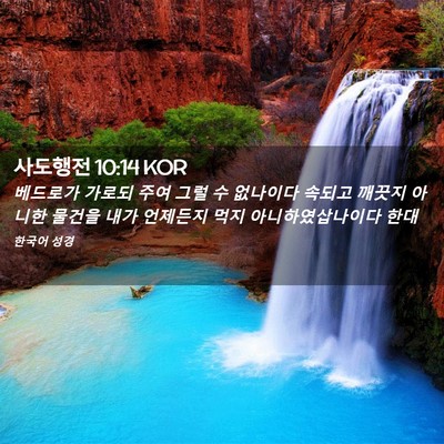 Picture 02 - 사도행전 10:14 KOR - 베드로가 가로되 주여 그럴 수 - Bible Verse Picture