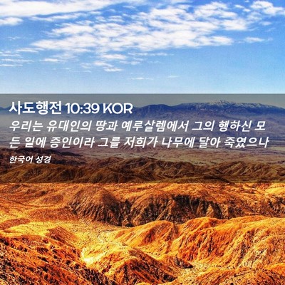 Picture 02 - 사도행전 10:39 KOR - 우리는 유대인의 땅과 예루살렘에서 - Bible Verse Picture