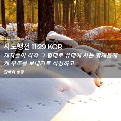 Picture 02 - 사도행전 11:29 KOR - 제자들이 각각 그 힘대로 유대에 - Bible Verse Picture