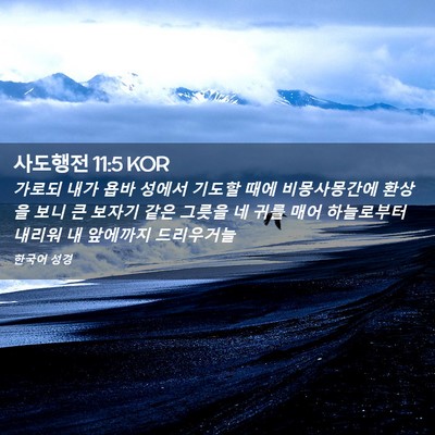 Picture 02 - 사도행전 11:5 KOR - 가로되 내가 욥바 성에서 기도할 - Bible Verse Picture
