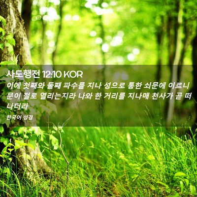 Picture 02 - 사도행전 12:10 KOR - 이에 첫째와 둘째 파수를 지나 - Bible Verse Picture
