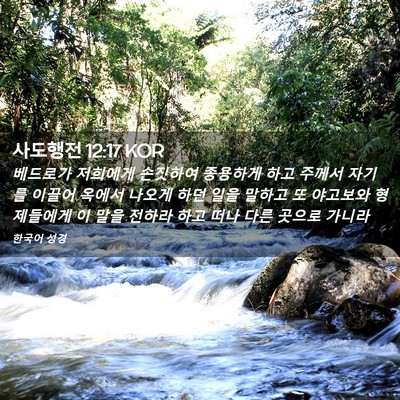 Picture 02 - 사도행전 12:17 KOR - 베드로가 저희에게 손짓하여 - Bible Verse Picture