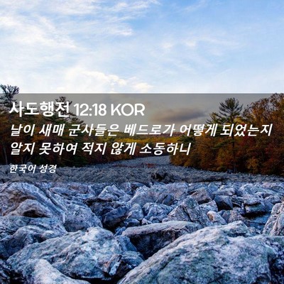 Picture 02 - 사도행전 12:18 KOR - 날이 새매 군사들은 베드로가 어떻게 - Bible Verse Picture