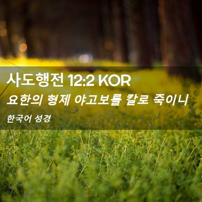 Picture 02 - 사도행전 12:2 KOR - 요한의 형제 야고보를 칼로 - Bible Verse Picture