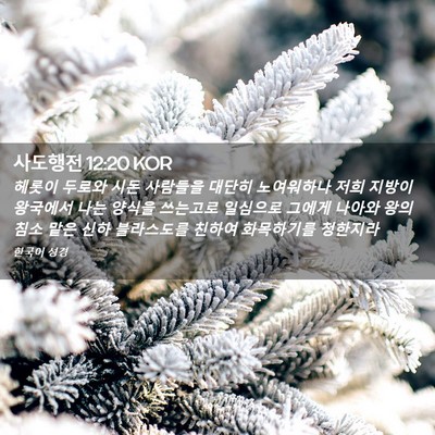 Picture 02 - 사도행전 12:20 KOR - 헤롯이 두로와 시돈 사람들을 대단히 - Bible Verse Picture