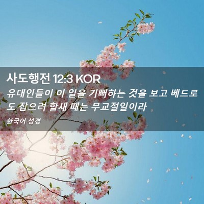 Picture 02 - 사도행전 12:3 KOR - 유대인들이 이 일을 기뻐하는 것을 - Bible Verse Picture