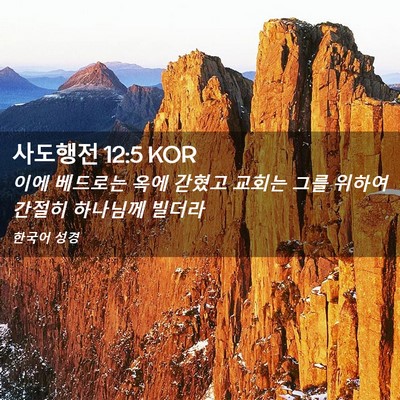 Picture 02 - 사도행전 12:5 KOR - 이에 베드로는 옥에 갇혔고 교회는 - Bible Verse Picture