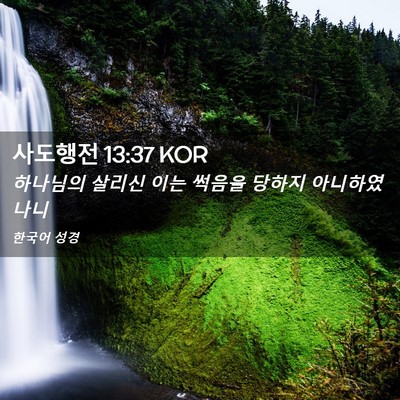 Picture 02 - 사도행전 13:37 KOR - 하나님의 살리신 이는 썩음을 당하지 - Bible Verse Picture