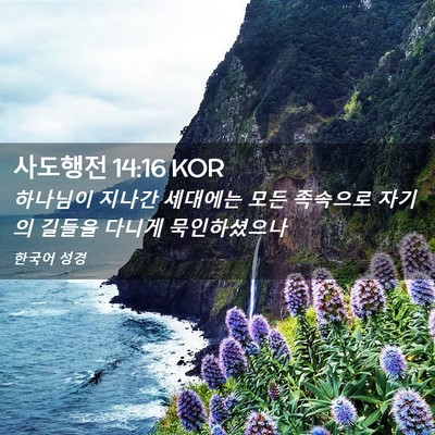 Picture 02 - 사도행전 14:16 KOR - 하나님이 지나간 세대에는 모든 - Bible Verse Picture