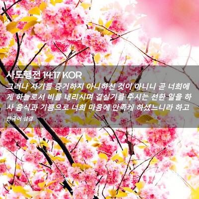 Picture 02 - 사도행전 14:17 KOR - 그러나 자기를 증거하지 아니하신 - Bible Verse Picture