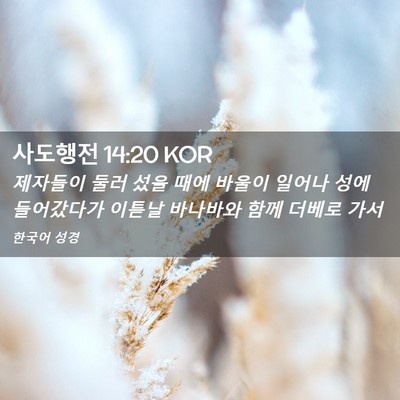 Picture 02 - 사도행전 14:20 KOR - 제자들이 둘러 섰을 때에 바울이 - Bible Verse Picture