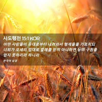 Picture 02 - 사도행전 15:1 KOR - 어떤 사람들이 유대로부터 내려와서 - Bible Verse Picture