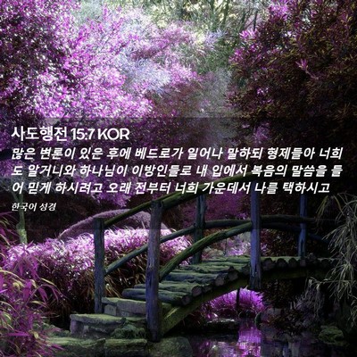 Picture 02 - 사도행전 15:7 KOR - 많은 변론이 있은 후에 베드로가 - Bible Verse Picture