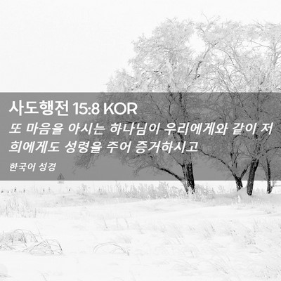 Picture 02 - 사도행전 15:8 KOR - 또 마음을 아시는 하나님이 - Bible Verse Picture