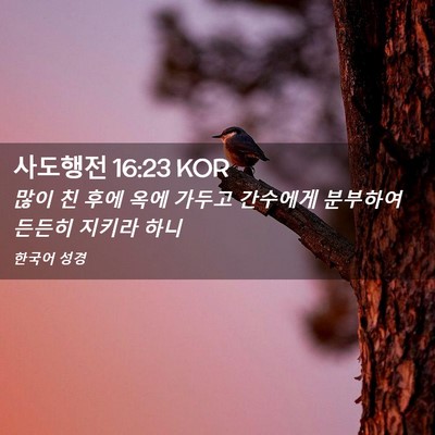 Picture 02 - 사도행전 16:23 KOR - 많이 친 후에 옥에 가두고 간수에게 - Bible Verse Picture