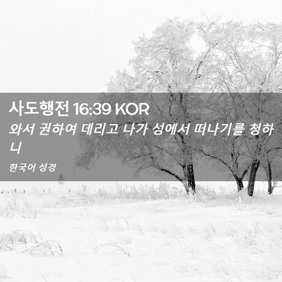 Picture 02 - 사도행전 16:39 KOR - 와서 권하여 데리고 나가 성에서 - Bible Verse Picture