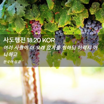 Picture 02 - 사도행전 18:20 KOR - 여러 사람이 더 오래 있기를 청하되 - Bible Verse Picture