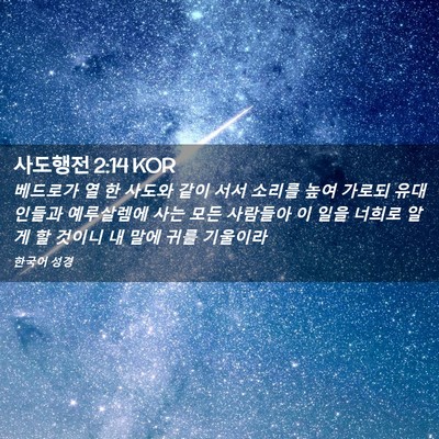 Picture 02 - 사도행전 2:14 KOR - 베드로가 열 한 사도와 같이 서서 - Bible Verse Picture